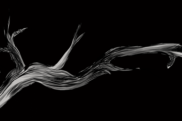 A tree branch