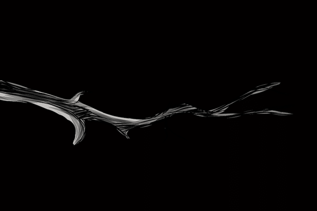 Tree branch